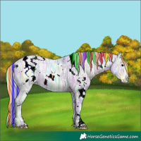 Horse Color:Painted Watercolor White Spotted Silver Black Ice Rabicano 
