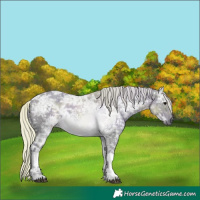 Horse Color:Watercolor Silver Black Ice Tobiano 