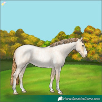 Horse Color:Buckskin Roan Pearl  and Buckskin Roan Pearl 