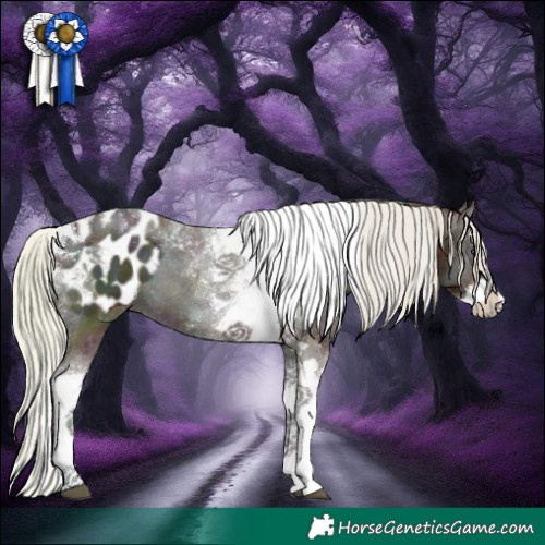 Horse Color:Midnight Silver Bay Ice Onyx Splash Tobiano Appaloosa 