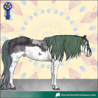 Horse Color:Painted Watercolor Midnight Bay Ice Onyx Splash Tobiano Appaloosa 