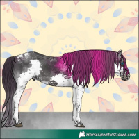 Horse Color:Black Splash Tobiano