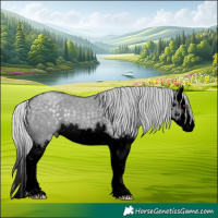 Horse Color:Void Silver Grullo Chinchilla Splash 