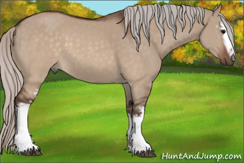 Horse Color:White Spotted Silver Brown Dun 