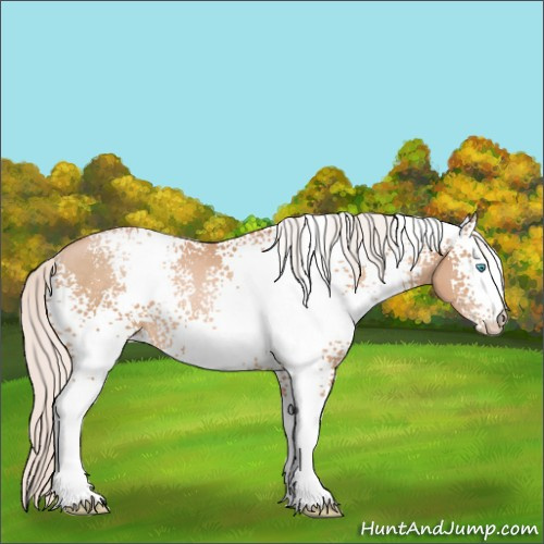 Horse Color:White Spotted Silver Buckskin Pearl Rabicano