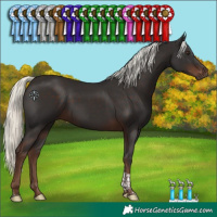 Horse Color:Liver Chestnut Mushroom Tobiano 