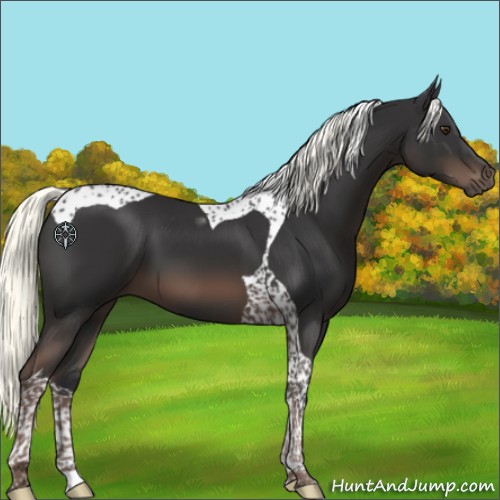Horse Color:Liver Chestnut Mushroom Tobiano 