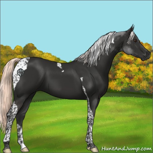 Horse Color:Liver Chestnut Mushroom Tobiano 
