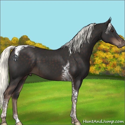 Horse Color:Liver Chestnut Mushroom Tobiano 