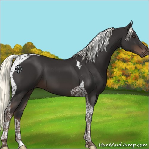 Horse Color:Liver Chestnut Mushroom Tobiano 