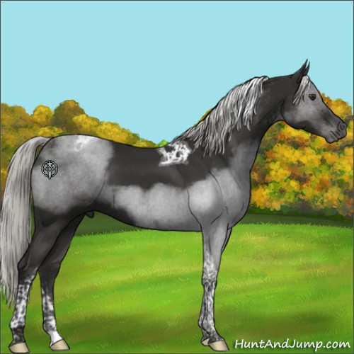 Horse Color:Liver Chestnut Mushroom Tobiano 