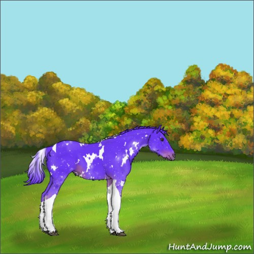 Horse Color:Watercolor White Spotted Liver Chestnut Tobiano 