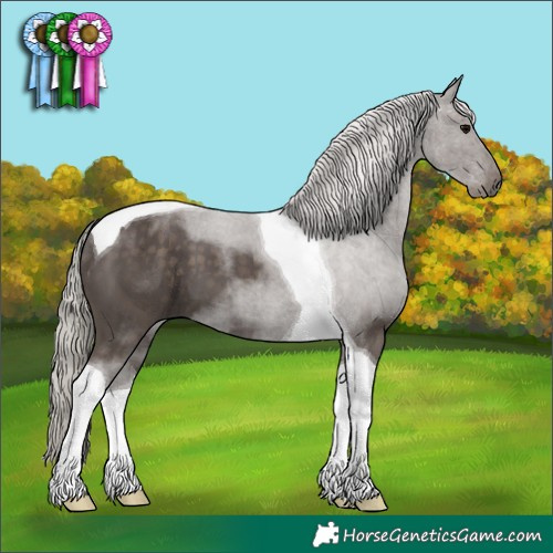 Horse Color:Silver Black Tobiano