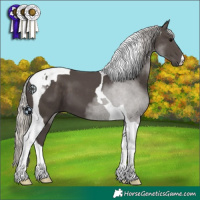 Horse Color:Silver Black Tobiano 