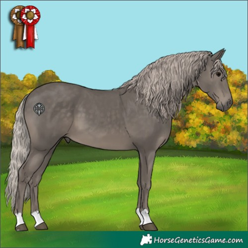 Horse Color:Silver Black 