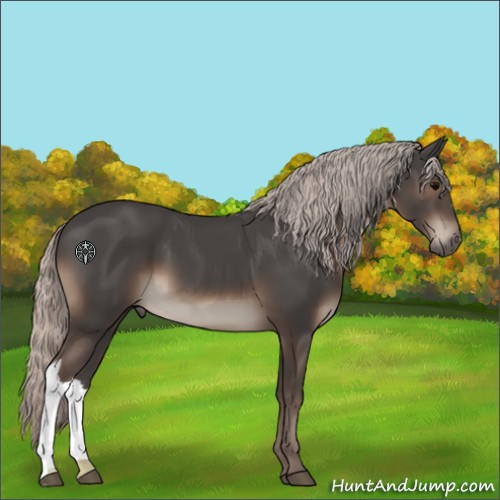Horse Color:Silver Black 