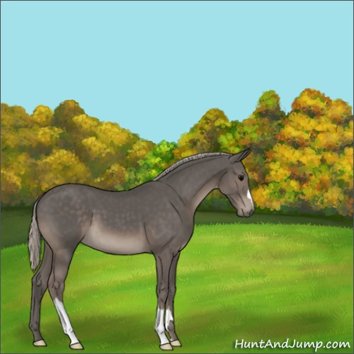 Horse Color:Silver Black 