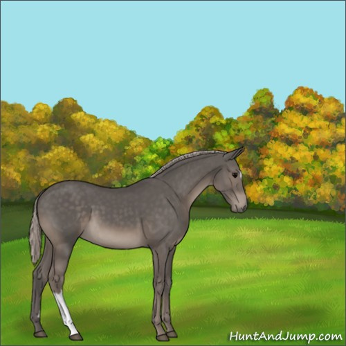 Horse Color:Silver Black 