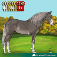 Horse Color:Silver Black 