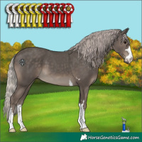 Horse Color:Silver Black 
