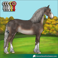 Horse Color:Silver Black 