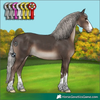 Horse Color:Silver Black 
