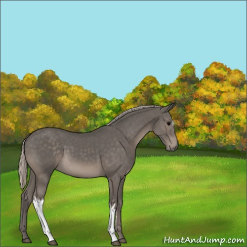 Horse Color:Silver Black 