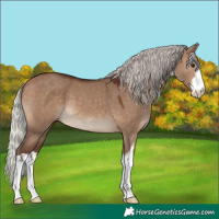 Horse Color:White Spotted Silver Brown Dun 