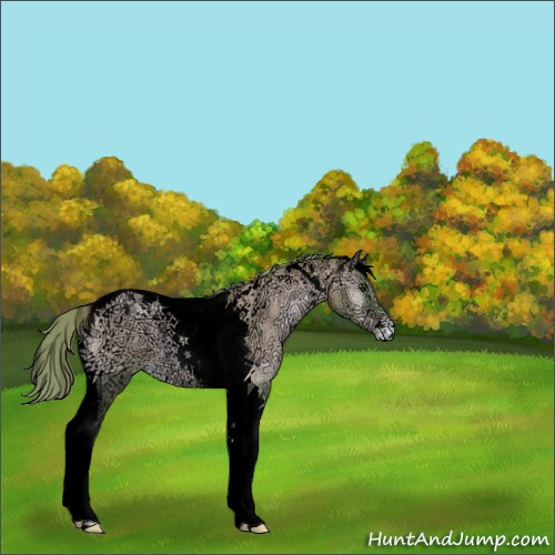 Horse Color:Void Watercolor Red Onyx Ice Pearl Tobiano Varnish Rabicano 