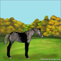 Horse Color:Void Watercolor Red Onyx Ice Pearl Tobiano Varnish Rabicano 