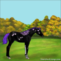 Horse Color:Void Painted Watercolor White Spotted Classic Champagne Onyx Rabicano 