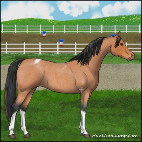 Horse Color:Bay Roan Tobiano 