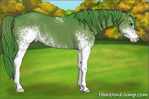 Horse Color:Watercolor White Spotted Black 