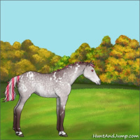 Horse Color:Painted White Spotted Chocolate Silver Black Chinchilla 