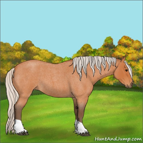 Horse Color:Silver Bay Roan Tobiano 