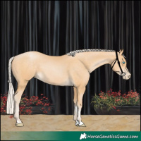 Horse Color:Silver Buckskin Pearl 