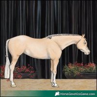 Horse Color:Silver Buckskin Pearl 