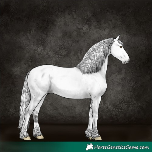 Horse Color:Gray Platinum White Spotted Silver Bay Dun Tobiano Near Leopard 