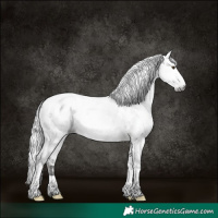 Horse Color:Gray Platinum White Spotted Silver Bay Dun Tobiano Near Leopard 