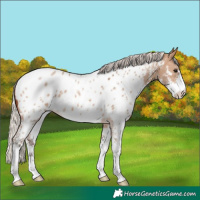 Horse Color:Silver Brown Dun Sabino Near Leopard 