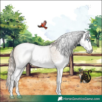 Horse Color:Gray Smoky Black Pearl Splash 