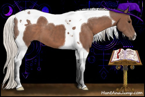 Horse Color:Silver Black Tobiano