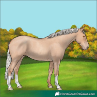 Horse Color:Silver Classic Champagne Roan