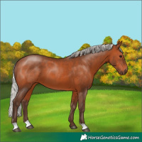 Horse Color:Silver Brown 