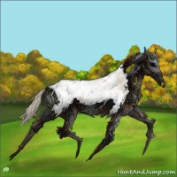 Horse Color:Smoky Creme Dun Appaloosa 