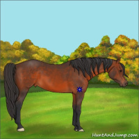 Horse Color:Brown 