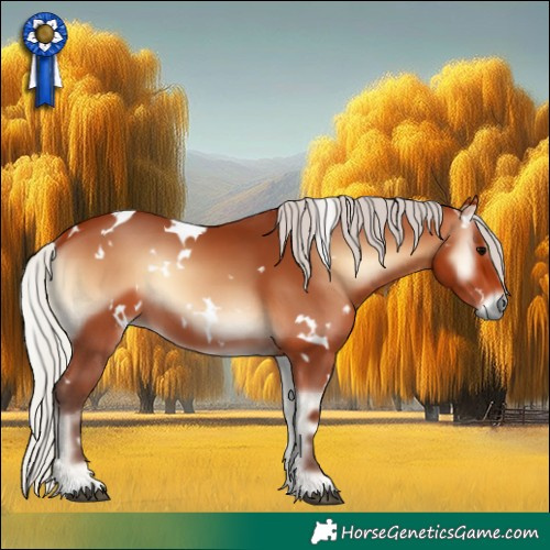 Horse Color:White Spotted Silver Bay Onyx 
