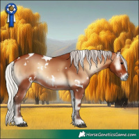Horse Color:White Spotted Silver Bay Onyx 