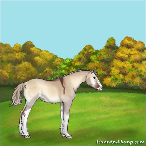 Horse Color:Silver Brown Onyx Sabino 