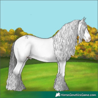 Horse Color:Brown Sabino Snowflake Varnish